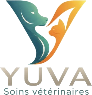 YUVA Soins vétérinaires